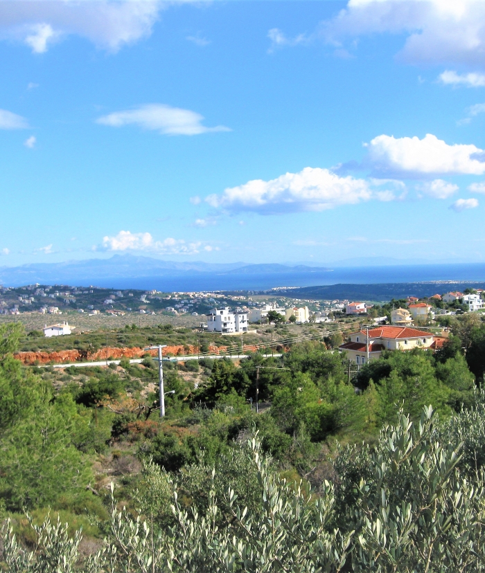 Θεσμική Εξέλιξη Συνεταιρισμού