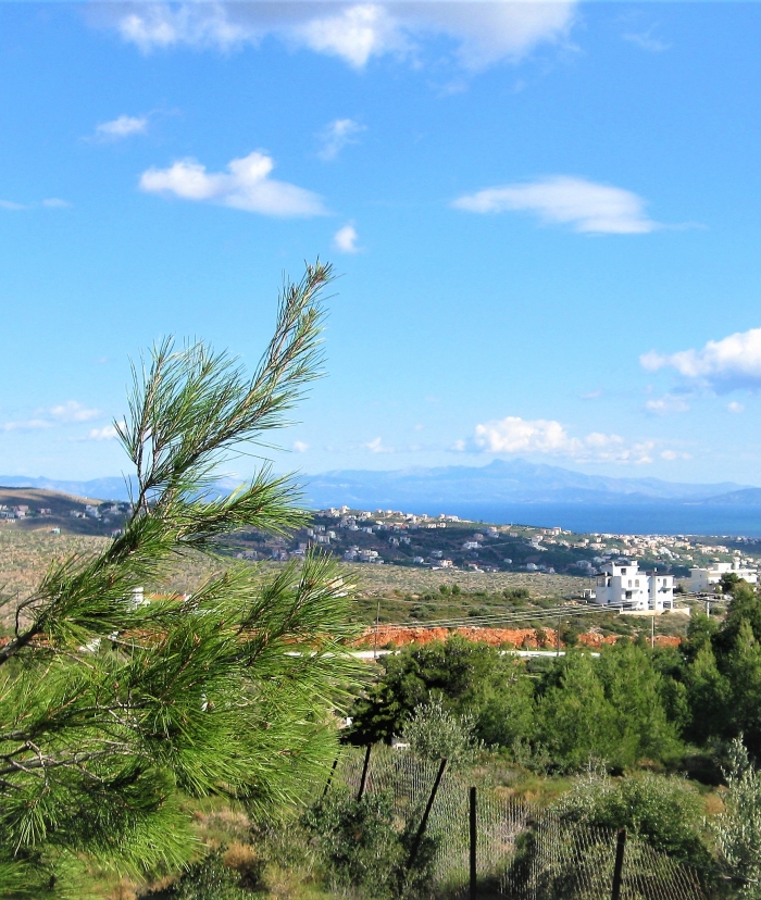 Καθαρισμός οικοπέδων στο Ντράφι