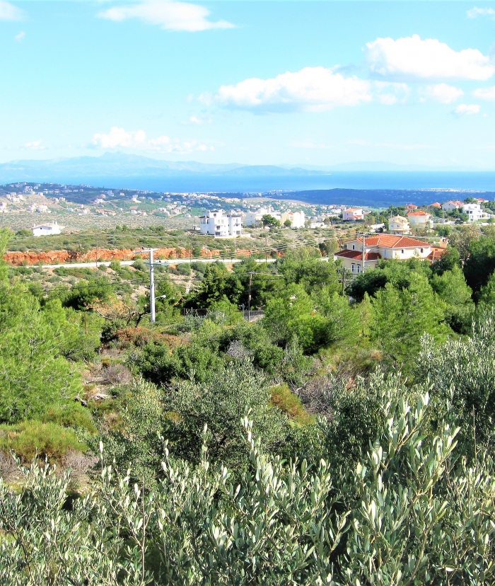 Υποχρεώσεις μελών για πυρασφάλεια την αντιπυρική περίοδο - Συνδρομή Συνεταιρισμού σε οικοπεδούχους