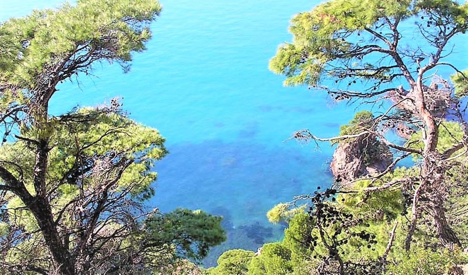 Ατελείωτος Γολγοθάς με τον ΕΝ.Φ.Ι.Α των Οικοδομικών Συνεταιρισμών.