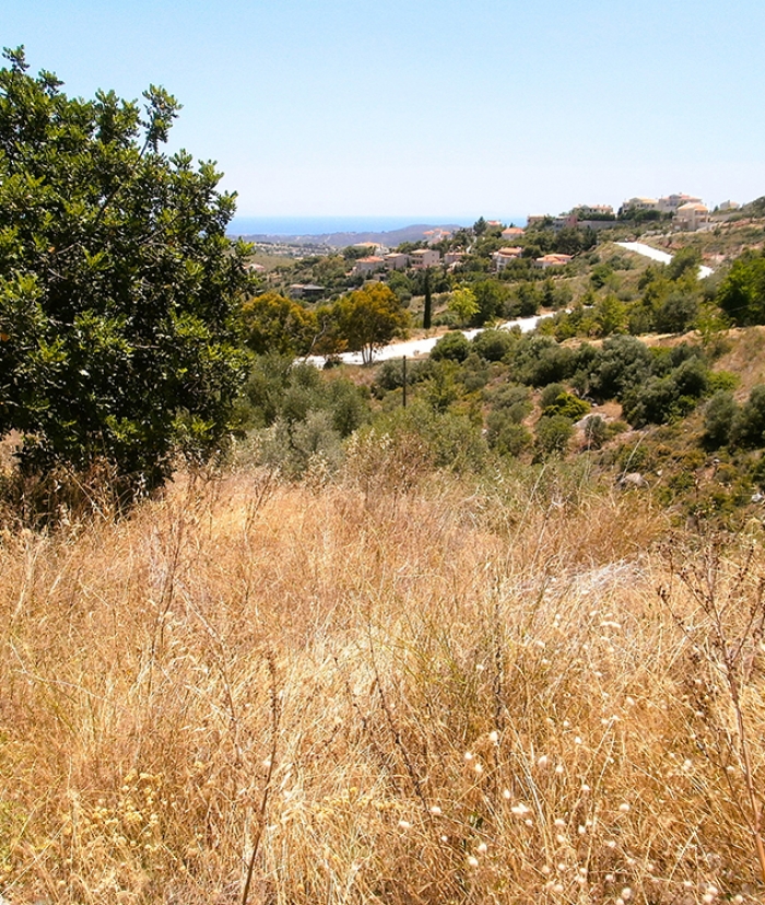 Αυξημένοι κίνδυνοι πυρκαγιών στο Ντράφι