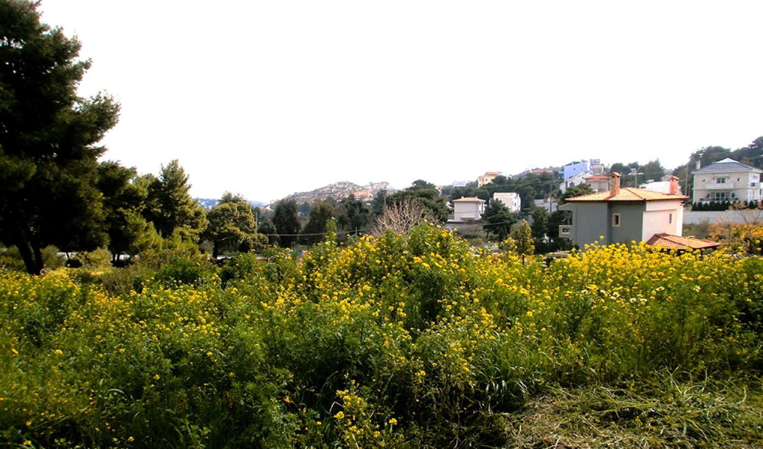 Αυξάνονται οι υποχρεώσεις πυροπροστασίας των Ντραφιωτών