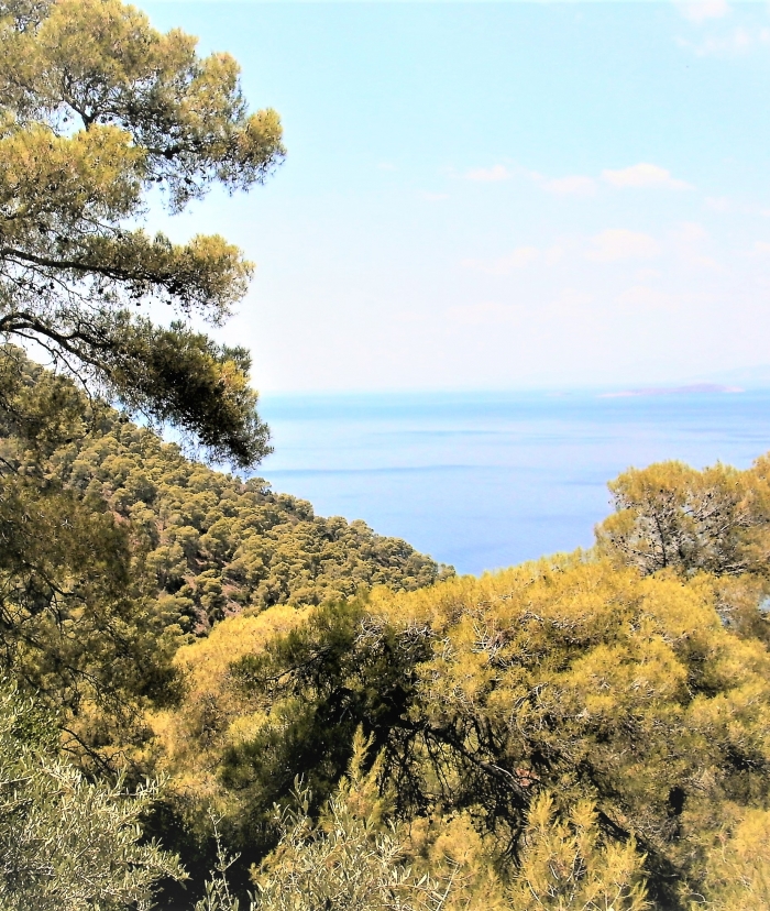 Διάθεση Μερίδων Μαυρολίμνης