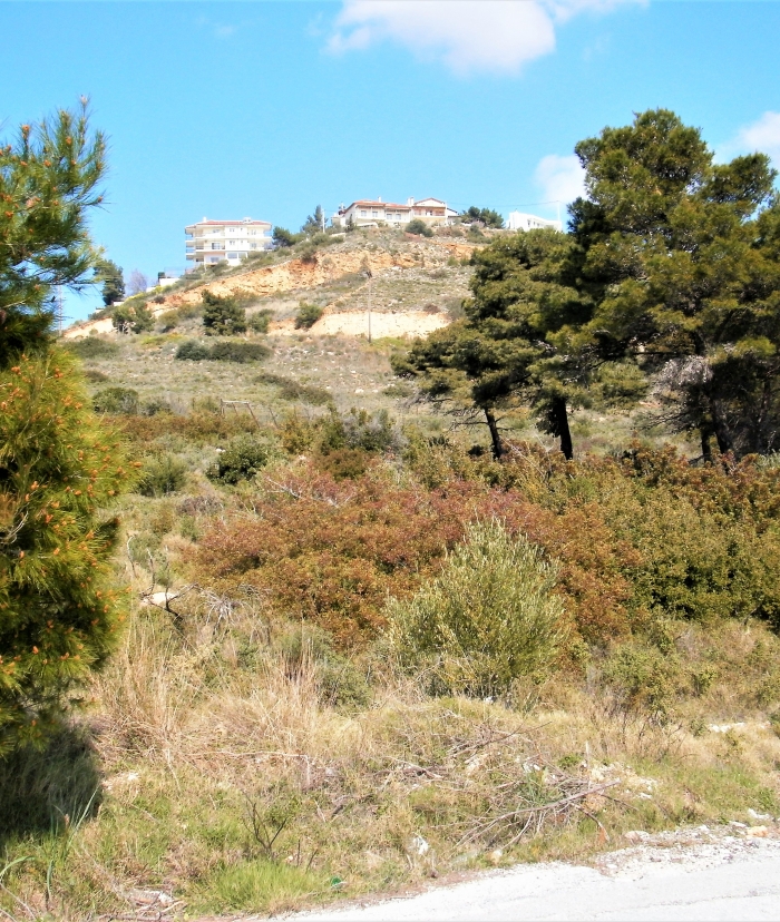 «Εξαίρεση του Ντραφίου, περιοχής του Δήμου Ραφήνας-Πικερμίου, από τις δεκαοκτώ περιοχές υψηλής εποπτείας για πυρκαγιά»