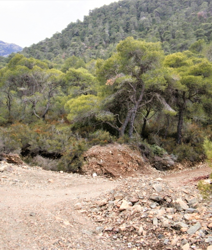 Καθυστέρηση Κοινοτικών έργων λόγω πανδημίας