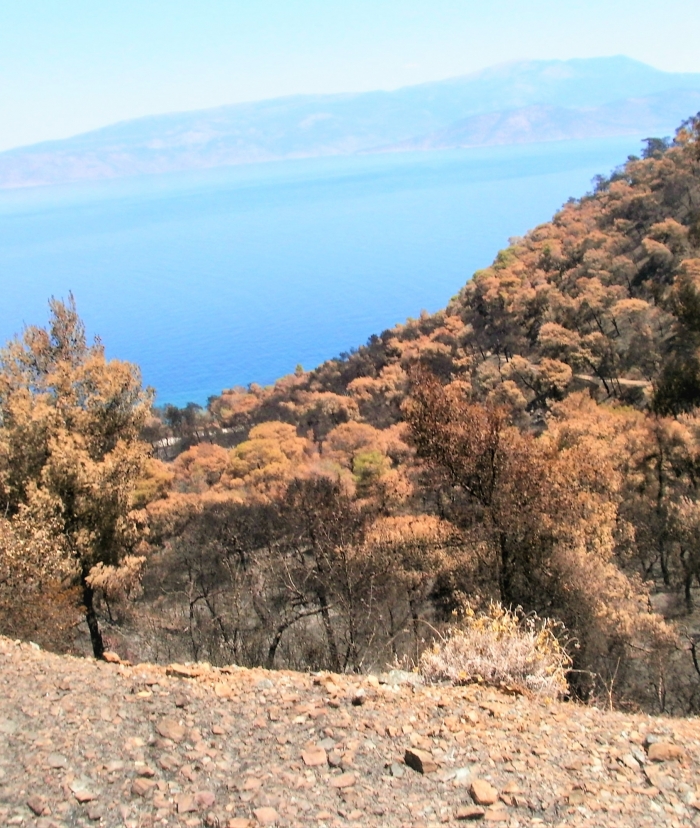 Ξεκίνησαν τα αντιπλημμυρικά έργα στο Σχίνο και τη Μαυρολίμνη