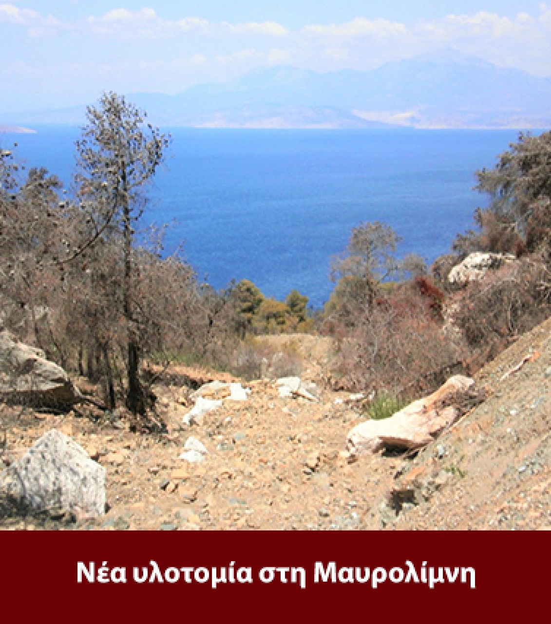 Νέα υλοτομία στη Μαυρολίμνη