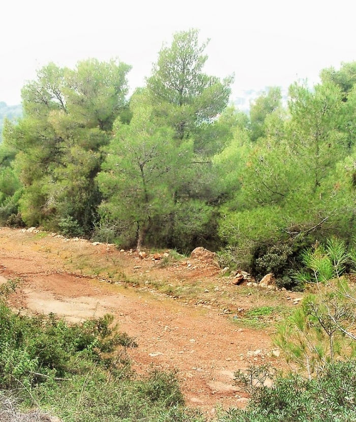 Οι  δύο εγκρίσεις για την Υλοτομία Μαυρολίμνης