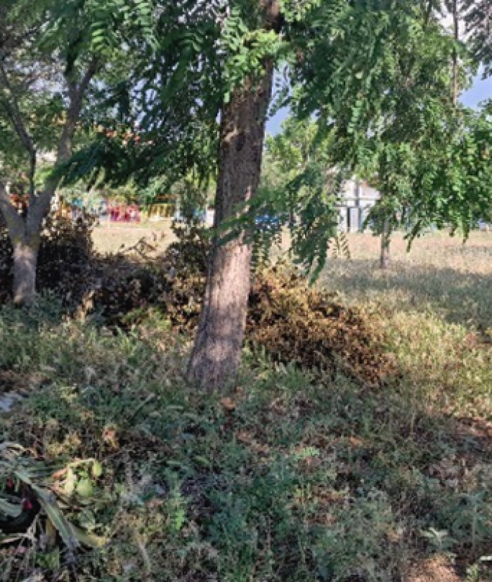 ΔΗΜΟΣΙΕΥΜΑ: Ακαθάριστα οικόπεδα: Τέλος οι παρατάσεις – Πότε ξεκινούν οι έλεγχοι
