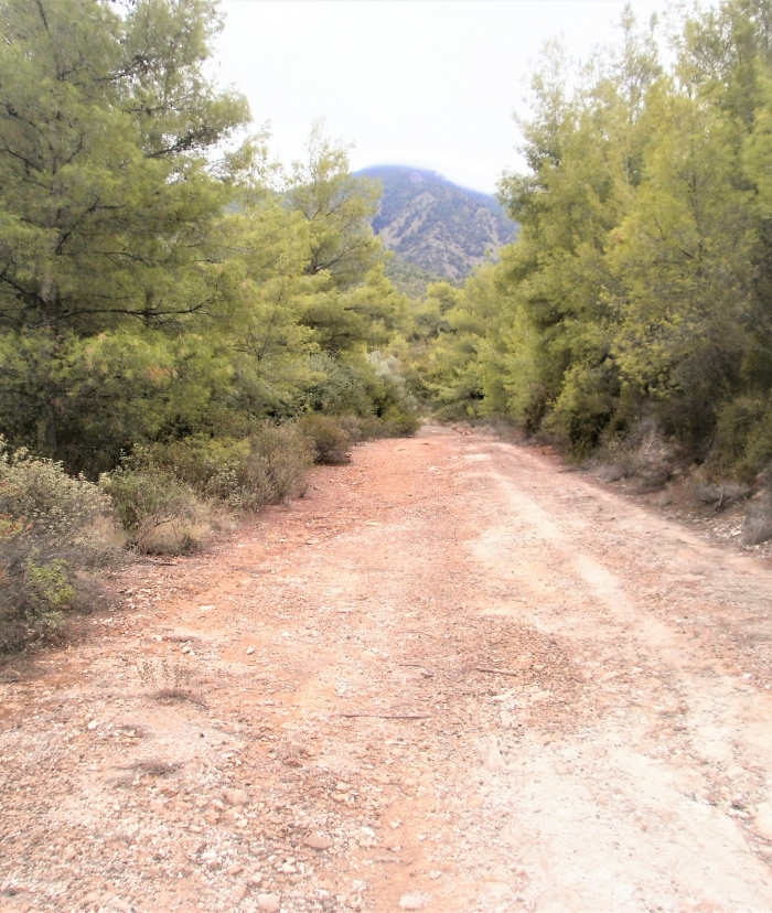 Περιφερειακό και εσωτερικό οδικό δίκτυο Μαυρολίμνης