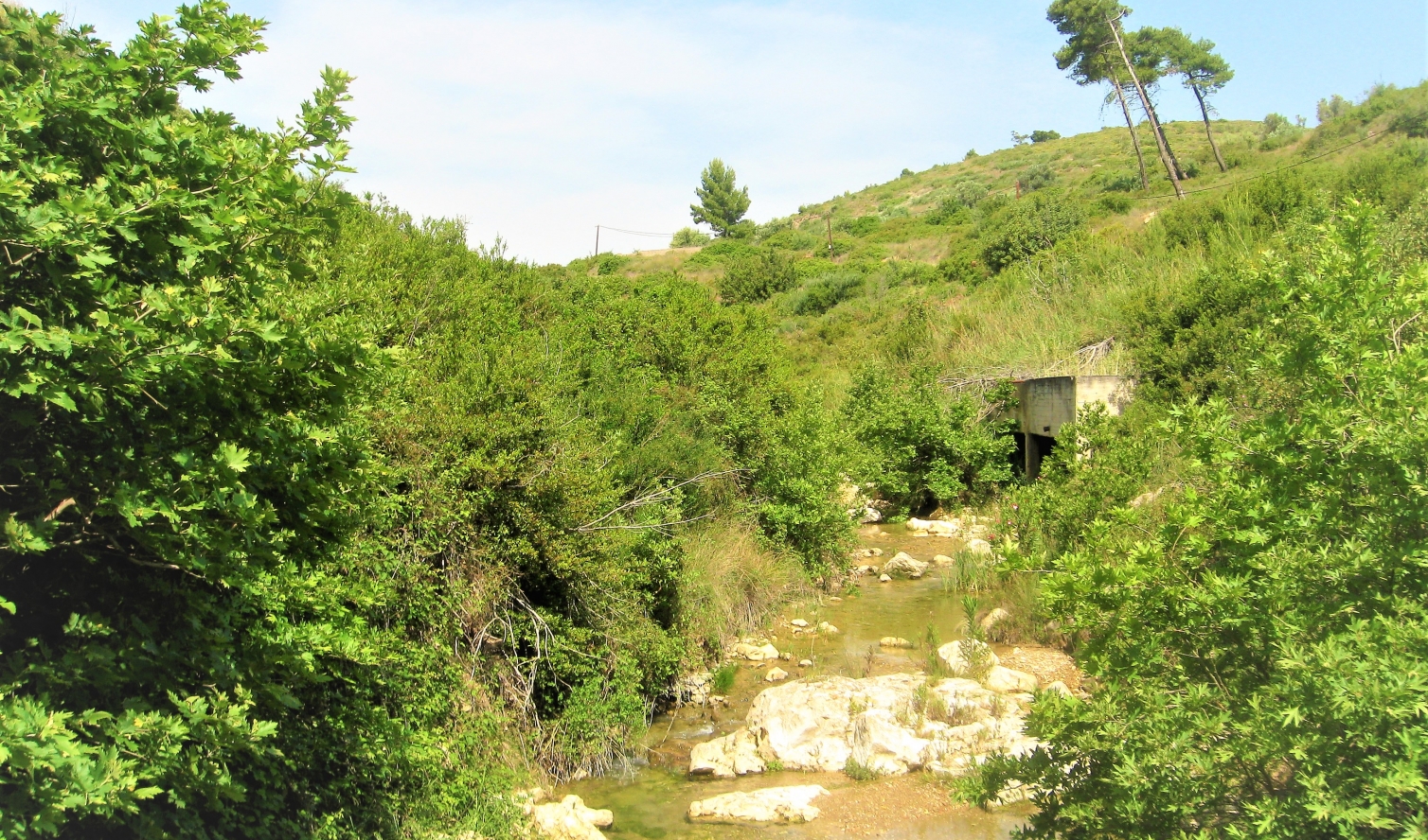 Αγωνία Ντραφιωτών για το περιβάλλον