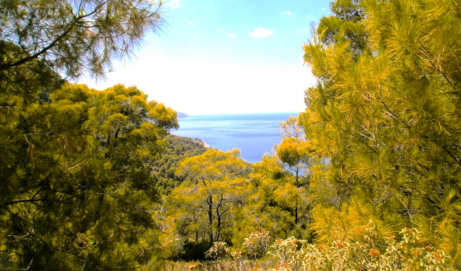Κτηματολόγιο για την Μαυρολίμνη - 2023
