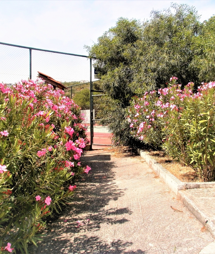 Κάδοι καθαριότητας στο Κέντρο